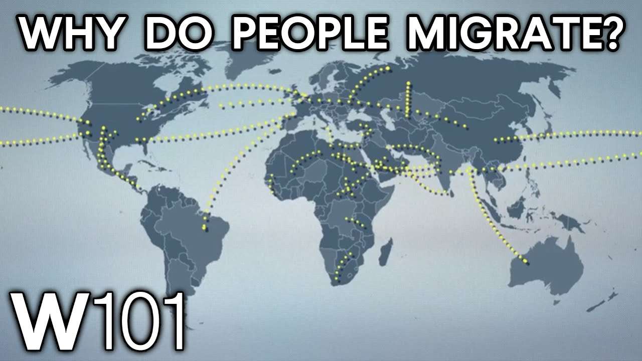 International Migration
